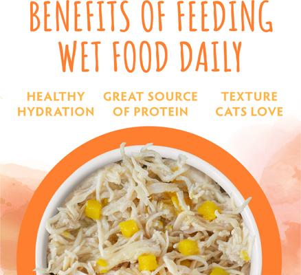 Show full view: Soulistic Originals Harvest Sunrise Chicken & Pumpkin Dinner in Gravy Wet Cat Food, 5.5-oz can, case of 8 slide 6 of 11