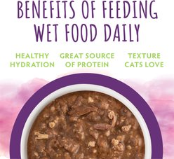 Soulistic Moist & Tender Tuna & Lamb Dinner in Gravy Wet Cat Food, 3-oz pouch, case of 8 slide 2 of 9