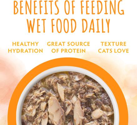 Show full view: Soulistic Originals Luna Tuna Tuna Dinner in Pumpkin Soup Wet Cat Food, 3-oz pouch, case of 8 slide 7 of 12