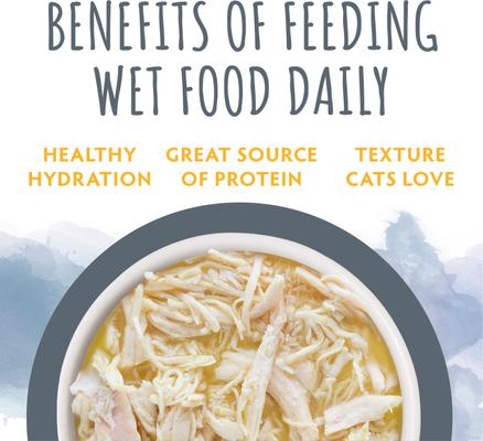 Show full view: Soulistic Originals Autumn Bounty Chicken Dinner in Pumpkin Soup Wet Cat Food, 3-oz pouch, case of 8 slide 7 of 12