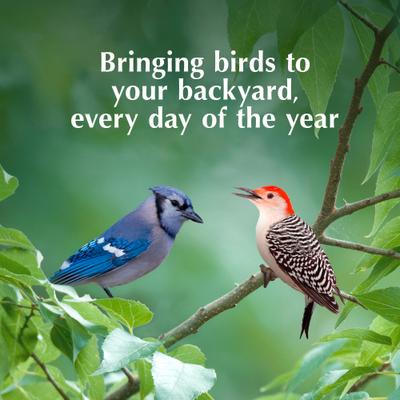 Show full view: C&S RTU Hot Pepper Delight Log Bird Food, 1-lb bag, 8 count slide 8 of 11