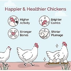 Mile Four Organic 16% Protein Mash Layer Chicken & Duck Feed, 2-lb bag slide 2 of 9