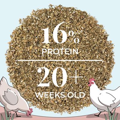 Show full view: Mile Four Organic 16% Protein Mash Layer Chicken & Duck Feed, 2-lb bag slide 8 of 10