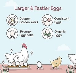 Mile Four Organic 16% Protein Mash Layer Chicken & Duck Feed, 23-lb bag slide 2 of 9