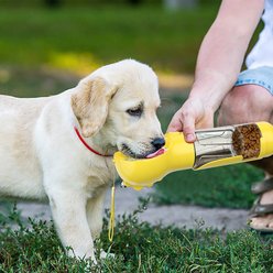 HANAMYA 3-in-1 Water Dispenser, Food Container & Waste Bag Holder Dog Travel Bottle, Yellow, 10-oz bottle