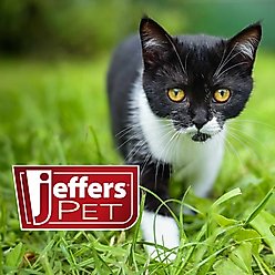 Jeffers Grooming Liquid Dog & Cat Ear Cleaning Solution, 8-fl oz bottle slide 2 of 3