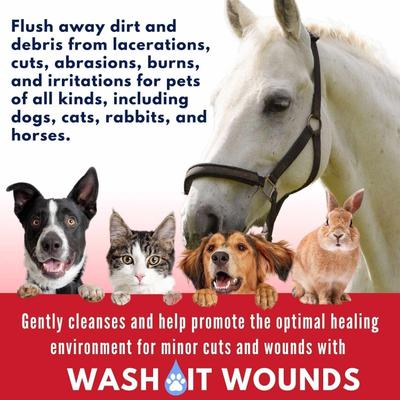 Show full view: Seal It Wash It Wound Wash for Dogs & Cats, 4-fl oz bottle slide 5 of 7