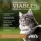 Show in main carousel: Taste of the Wild PREY Angus Beef Formula Limited Ingredient Recipe Dry Cat Food, 15-lb bag slide 7 of 11