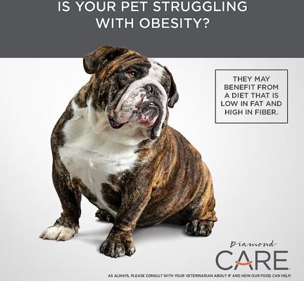 Show full view: Diamond Care Weight Management Formula Adult Grain-Free Dry Dog Food, 25-lb bag slide 7 of 11