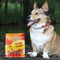 Jungle Calling Chicken Sausage Grain-Free & High-Protein Dog Treats, 10.6-oz bag slide 2 of 9