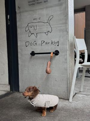 Show full view: Maison FurRéal ChocoLéash Ultra Lightweight Retractable Dog Leash, Mocha Mousse, 9-ft long, 1.75-in wide slide 9 of 12