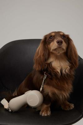 Show full view: Maison FurRéal ChocoLéash Ultra Lightweight Retractable Dog Leash, Sandy Rose, 9-ft long, 1.75-in wide slide 8 of 11