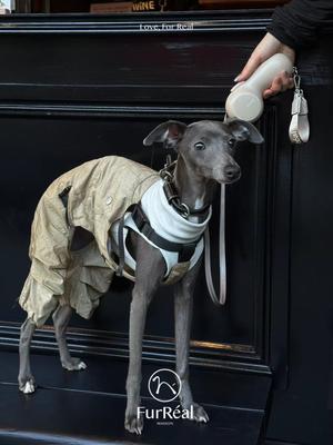 Show full view: Maison FurRéal ChocoLéash Flagship with Hand Warming & Power Bank Retractable Dog Leash, Cashmere Beige, 9-ft long, 1.75-in wide slide 10 of 13