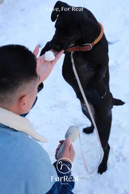 Show full view: Maison FurRéal ChocoLéash Flagship with Hand Warming & Power Bank Retractable Dog Leash, Cashmere Beige, 9-ft long, 1.75-in wide slide 9 of 13