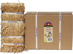 Hall's Hay Wheat Straw Double Wide Mini Bale Guinea Pig Food, 9-lb bag