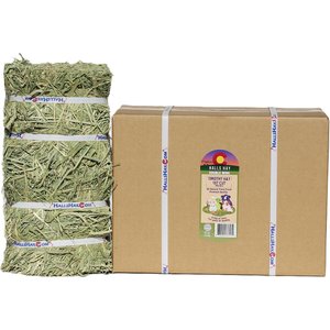 Hall's Hay Timothy Hay 1st Cut Double Wide Mini Bale Small Animal Food, 11-lb box