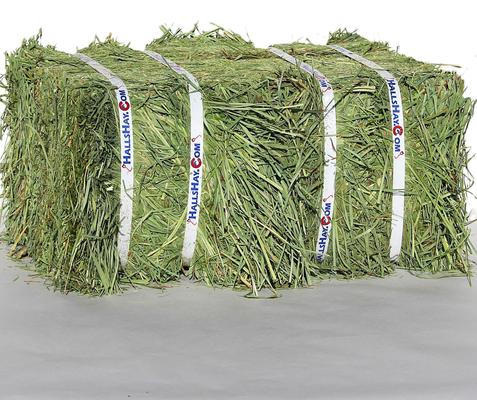 Show full view: Hall's Hay Orchard Grass Hay Double Wide Mini Bale Small Animal Food, 11-lb box slide 3 of 7