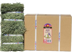 Hall's Hay Orchard Grass Hay Double Wide Mini Bale Guinea Pig Food, 11-lb box