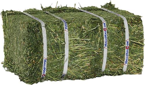 Show full view: Hall's Hay Alfalfa Double Wide Mini Bale Small Animal Food, 12-lb box slide 3 of 7
