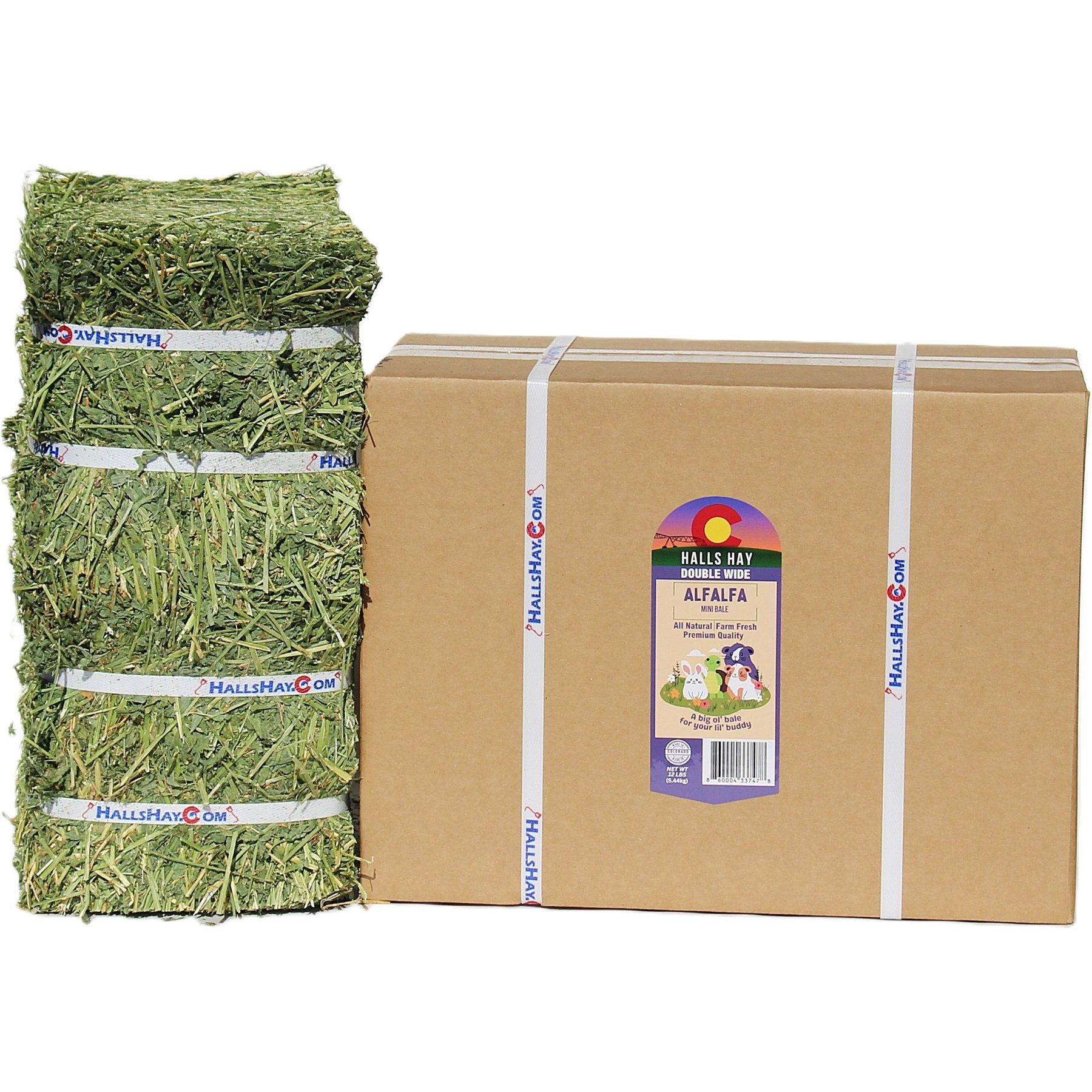 Hall's Hay Alfalfa Double Wide Mini Bale Small Animal Food, 12-lb box