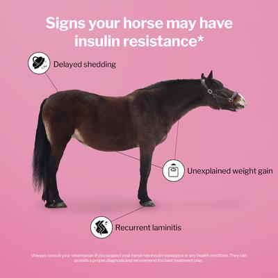 Show full view: Formula 707 MetaStable Pellets Horse Supplement, 5-lb bag slide 5 of 8