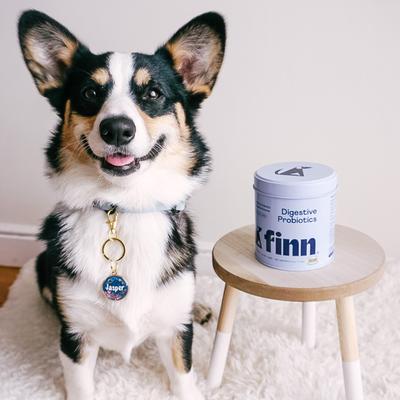 Show full view: Finn Digestive Prebiotic & Probiotic Peanut Butter Flavor Chew Supplement for Dogs, 90 count slide 10 of 10