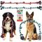 Show in main carousel: Pacific Pups Rescue Knotted Tough Rope Tug Dog Toy, XX-Large, 2 count, Green & Red slide 1 of 9