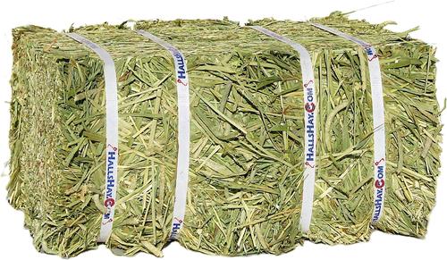 Show full view: Hall's Hay Timothy Hay 1st Cut Double Wide Mini Bale Small Animal Food, 11-lb box slide 3 of 8