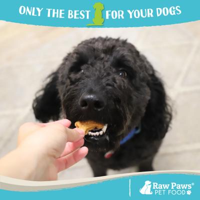 Show full view: Raw Paws Bone Shaped Peanut Butter & Chicken Soft Dog Jerky Treats, 16-oz bag slide 6 of 8