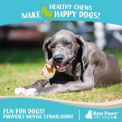 Show full view: Raw Paws Lamb Ears Natural Dog Chew Treats, 30 count slide 7 of 9