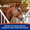 Show in main carousel: Farnam Cough Free Pellets Respiratory Health Horse Supplement, 1.75-lb jar, 48 Day Supply slide 5 of 10