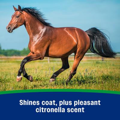 Show full view: Farnam Wipe Fly Spray with Citornella, 32-fl oz bottle slide 4 of 9