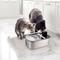 Show in main carousel: allforpaws Lifestyle Pets Wireless Stainless Steel Cat Water Fountain, Brown, 7.5-lt slide 3 of 8