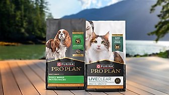 Purina Pro Plan: Low Prices, Free Shipping | Chewy
