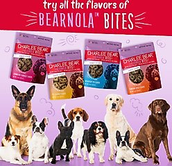 Charlee Bear Bearnola Bites Pumpkin Spice Flavor Dog Treats, 8-oz bag slide 2 of 8