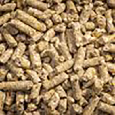 Show full view: Modesto Milling Organic 16% Protein Dairy Goat Pellets Goat Feed, 40-lb bag slide 3 of 5