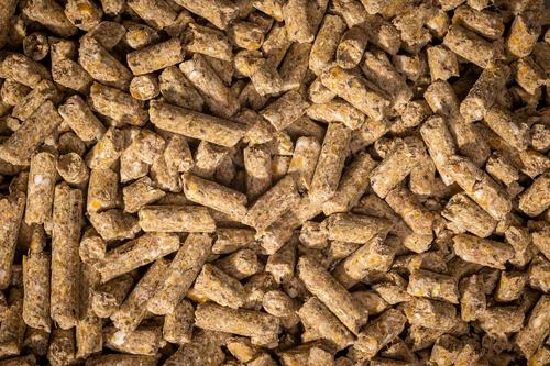 Show full view: Modesto Milling Organic 15% Protein General Livestock Pellet Feed, 40-lb bag slide 3 of 5