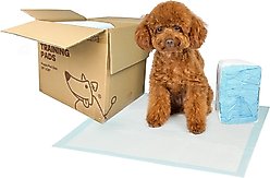 Best Pet Supplies Disposable Puppy Pads Training Dog Potty Pads, Baby Blue, 36 x 27.5-in, 40 count slide 2 of 9