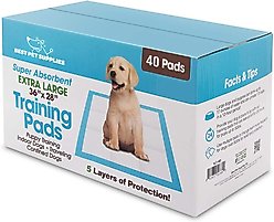 Best Pet Supplies Disposable Puppy Pads Training Dog Potty Pads, Baby Blue, 36 x 27.5-in, 40 count