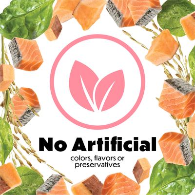 Show full view: Purina Beneful Freshly Prepared Blend with Salmon, Sweet Potatoes, Brown Rice & Spinach Wet Dog Food 10-oz container, case of 8 slide 9 of 12