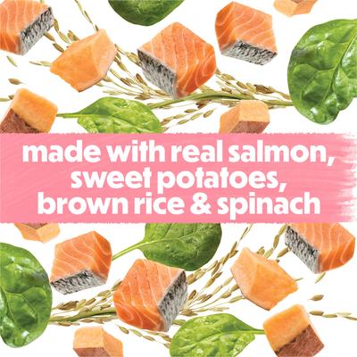 Show full view: Purina Beneful Freshly Prepared Blend with Salmon, Sweet Potatoes, Brown Rice & Spinach Wet Dog Food 10-oz container, case of 8 slide 6 of 12