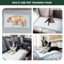 FXW Unscented Dog Pee Pads, Blue, Rectangle: 60 x 33.5-in, 100 count slide 2 of 8