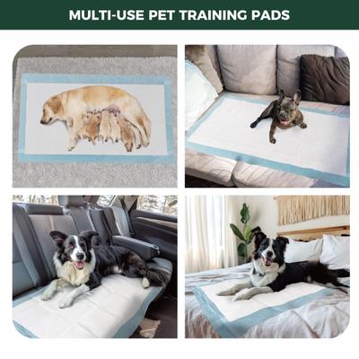 Show full view: FXW Dog Pee Pads Unscented, Blue, 51 x 29-in, 50 count slide 8 of 10