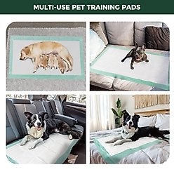 FXW Dog Pee Pads Unscented, Green, 60 x 33.5-in, 50 count slide 2 of 8