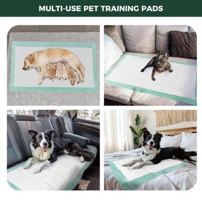 Show full view: FXW Dog Pee Pads Unscented, Green, 51 x 29-in, 100 count slide 7 of 9