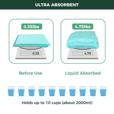 Show full view: FXW Dog Pee Pads Unscented, Green, 60 x 33.5-in, 50 count slide 6 of 10