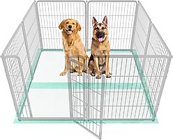 FXW Dog Pee Pads Unscented, Green, 60 x 33.5-in, 50 count