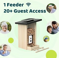 Birdfy Wooden Smart Bird Feeder with Camera Solar Powered, Ebony, 2.8L slide 2 of 9