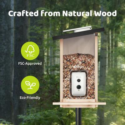 Show full view: Birdfy Wooden Smart Bird Feeder with Camera Solar Powered, Ebony, 2.8L slide 6 of 10