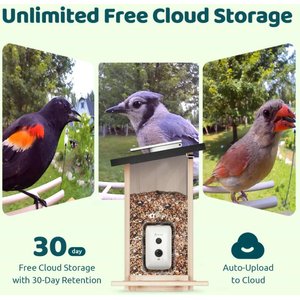 Birdfy Wooden Smart Bird Feeder with Camera Solar Powered, Ebony, 2.8L